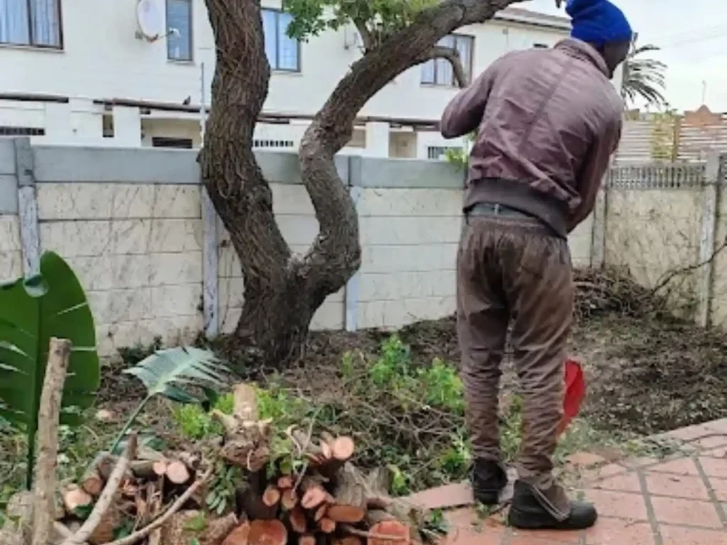Worker beside a cut tree trunk and stacked logs in a Cape Town garden