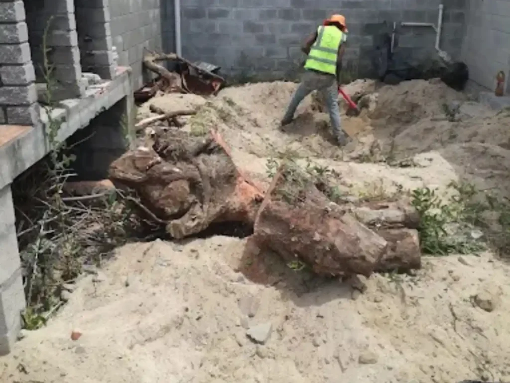 Worker in hi-vis clearing stumps and logs on a sandy building site